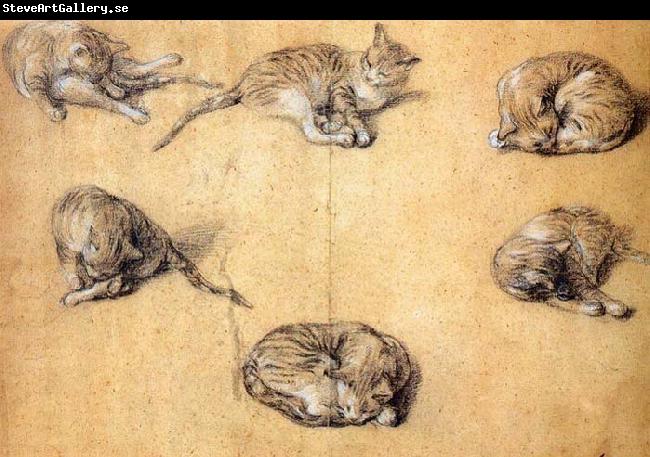 GAINSBOROUGH, Thomas Six studies of a cat